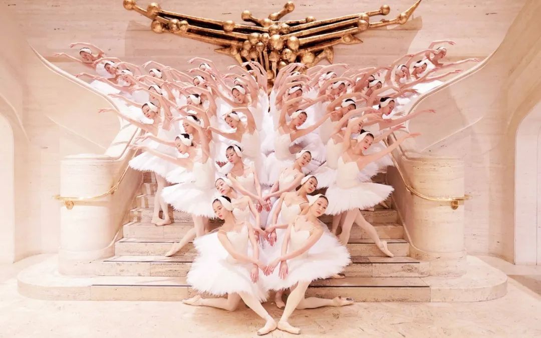 上海芭蕾舞团《天鹅湖》，48只“天鹅”震撼演绎足尖上的绝美童话